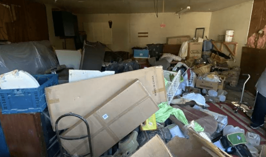 WASTE REMOVAL